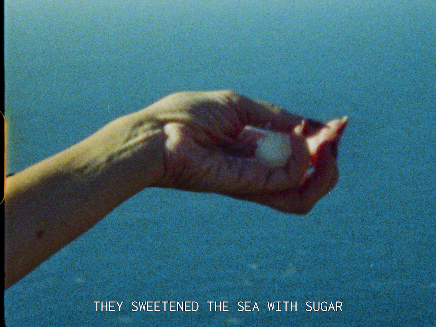 Sugar still